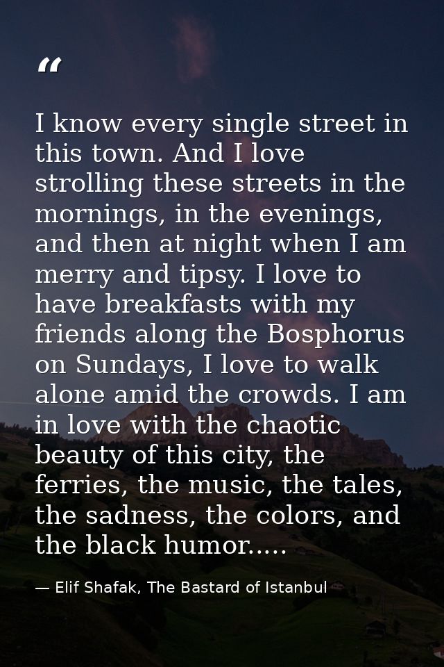 I know every single street in this town. And I love strolling these streets in the mornings, in the evenings, and then a — Elif Shafak, The Bastard of Istanbul
