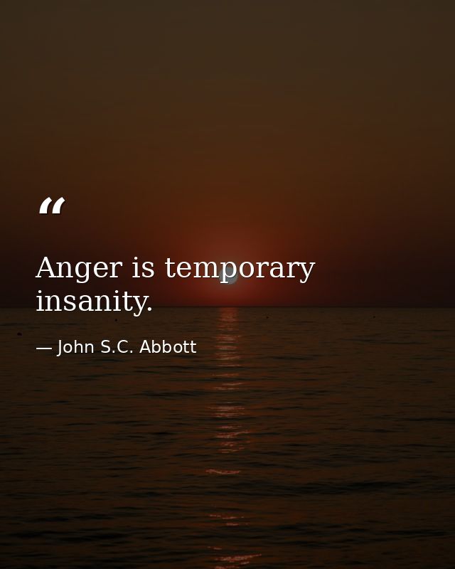 Anger is temporary insanity. — John S.C. Abbott