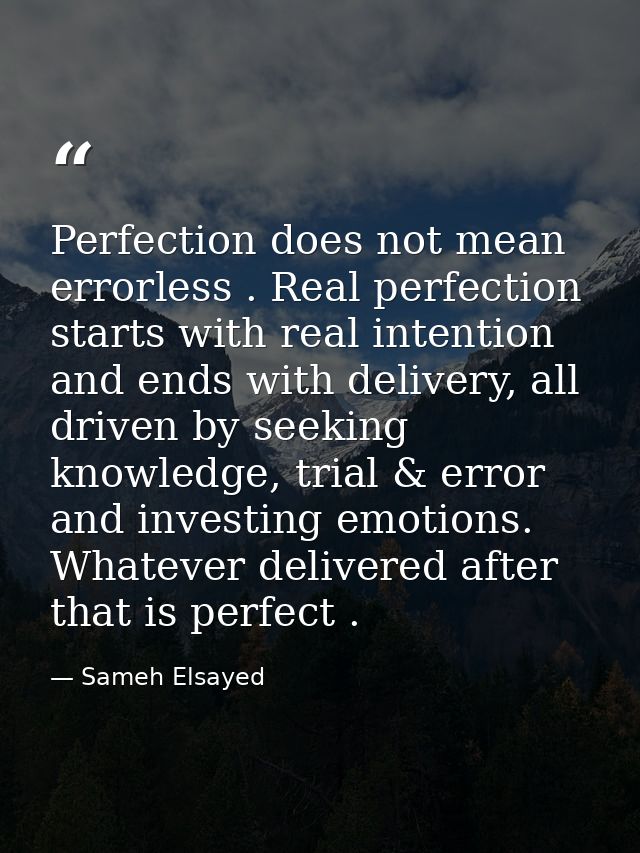 Perfection does not mean errorless . Real perfection starts with real intention and ends with delivery, all driven by se — Sameh Elsayed