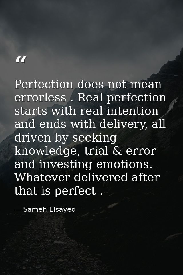 Perfection does not mean errorless . Real perfection starts with real intention and ends with delivery, all driven by se — Sameh Elsayed