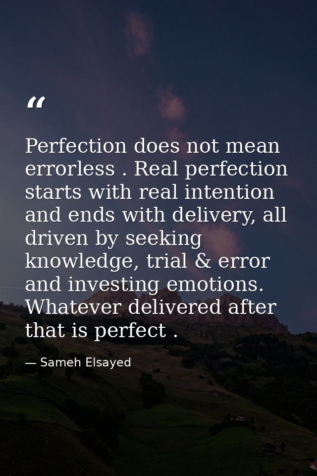 Perfection does not mean errorless . Real perfection starts with real intention and ends with delivery, all driven by se — Sameh Elsayed