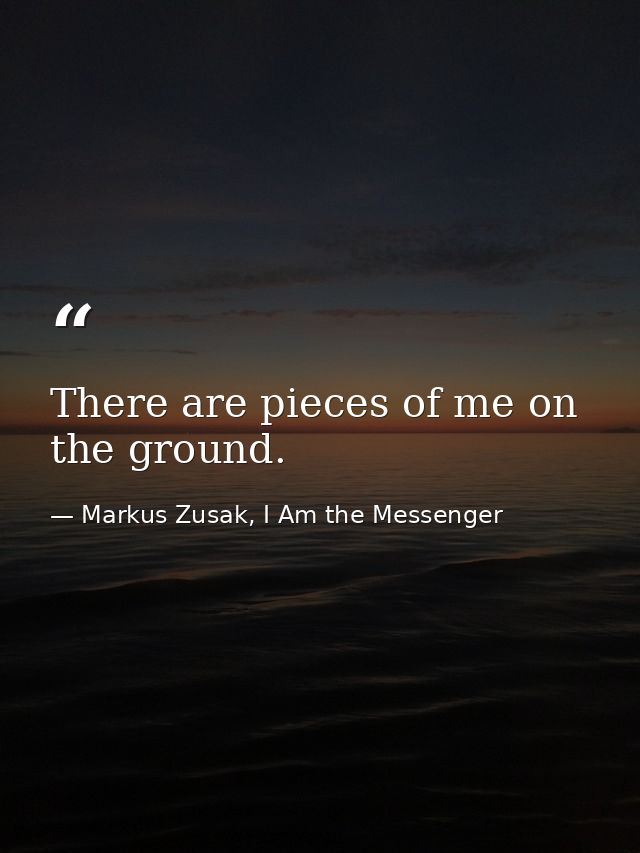 There are pieces of me on the ground. — Markus Zusak, I Am the Messenger