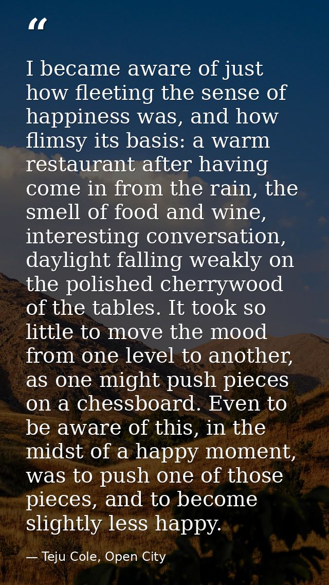 I became aware of just how fleeting the sense of happiness was, and how flimsy its basis: a warm restaurant after having — Teju Cole, Open City