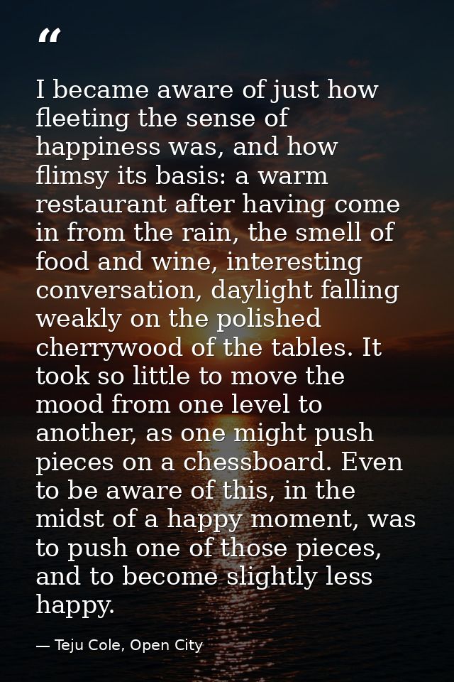 I became aware of just how fleeting the sense of happiness was, and how flimsy its basis: a warm restaurant after having — Teju Cole, Open City