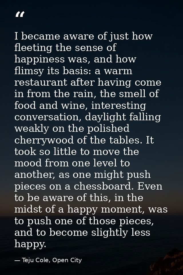 I became aware of just how fleeting the sense of happiness was, and how flimsy its basis: a warm restaurant after having — Teju Cole, Open City