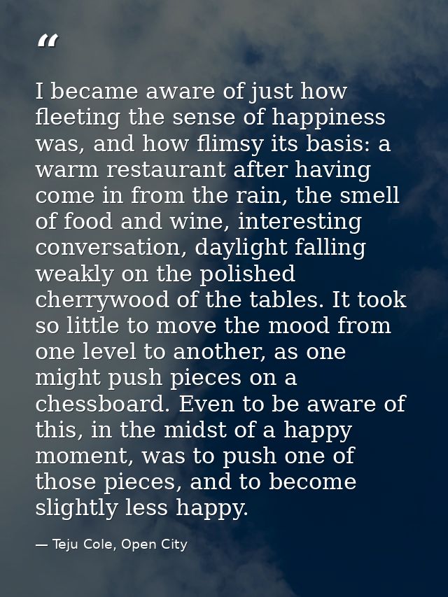 I became aware of just how fleeting the sense of happiness was, and how flimsy its basis: a warm restaurant after having — Teju Cole, Open City