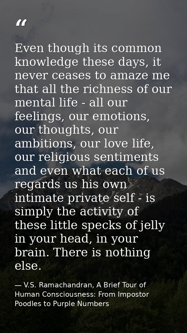 Even though its common knowledge these days, it never ceases to amaze me that all the richness of our mental life - all  — V.S. Ramachandran, A Brief Tour of Human Consciousness: From Impostor Poodles to Purple Numbers