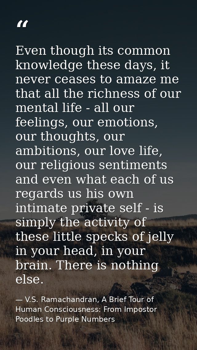 Even though its common knowledge these days, it never ceases to amaze me that all the richness of our mental life - all  — V.S. Ramachandran, A Brief Tour of Human Consciousness: From Impostor Poodles to Purple Numbers