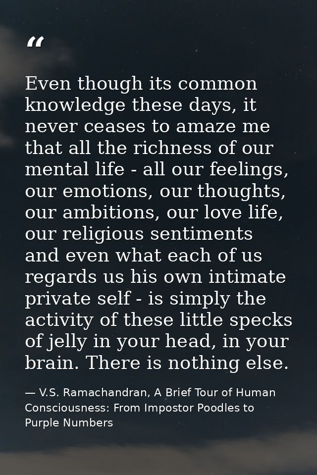 Even though its common knowledge these days, it never ceases to amaze me that all the richness of our mental life - all  — V.S. Ramachandran, A Brief Tour of Human Consciousness: From Impostor Poodles to Purple Numbers