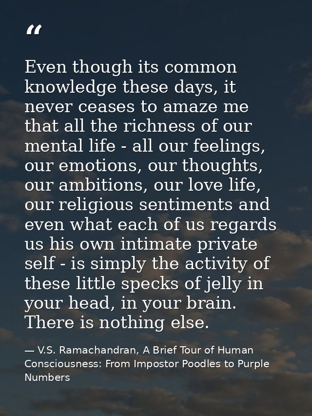 Even though its common knowledge these days, it never ceases to amaze me that all the richness of our mental life - all  — V.S. Ramachandran, A Brief Tour of Human Consciousness: From Impostor Poodles to Purple Numbers