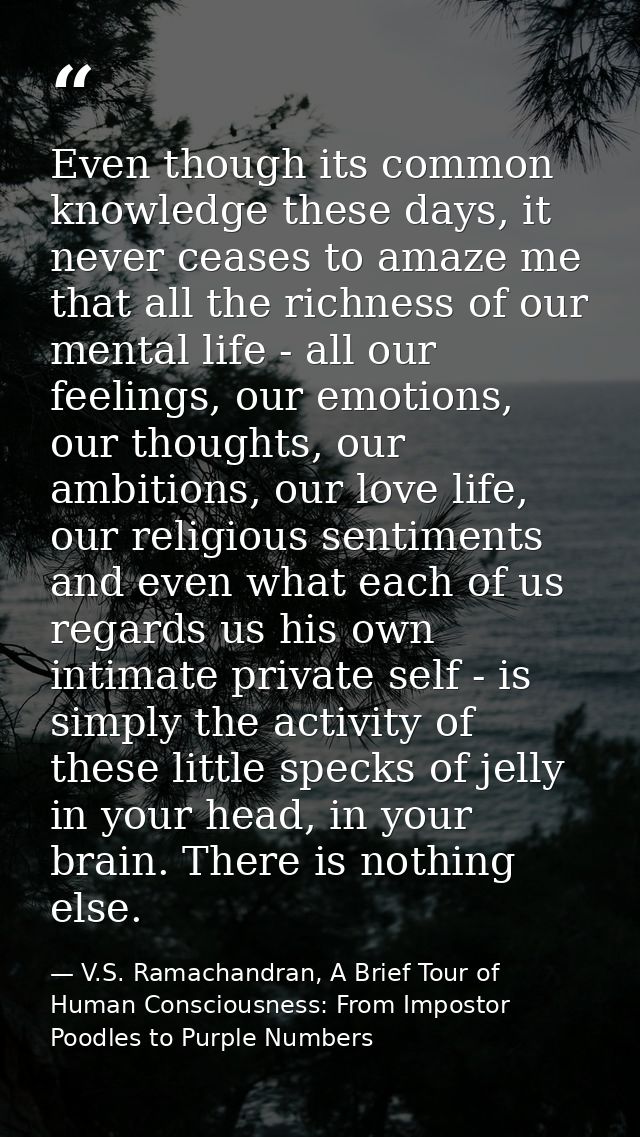 Even though its common knowledge these days, it never ceases to amaze me that all the richness of our mental life - all  — V.S. Ramachandran, A Brief Tour of Human Consciousness: From Impostor Poodles to Purple Numbers