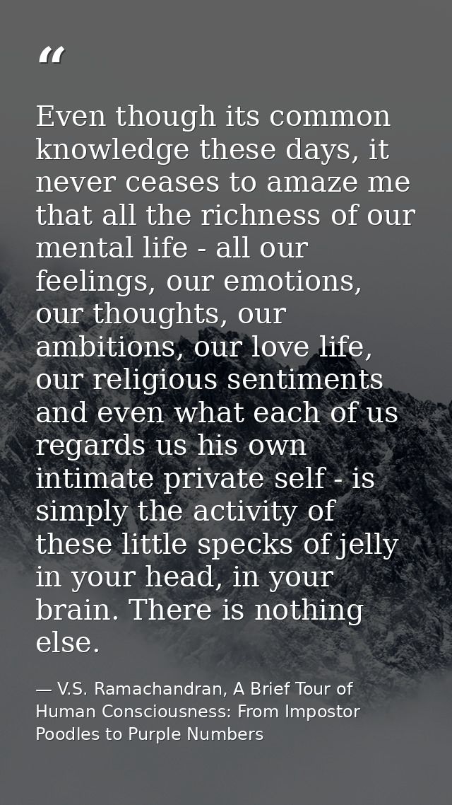 Even though its common knowledge these days, it never ceases to amaze me that all the richness of our mental life - all  — V.S. Ramachandran, A Brief Tour of Human Consciousness: From Impostor Poodles to Purple Numbers
