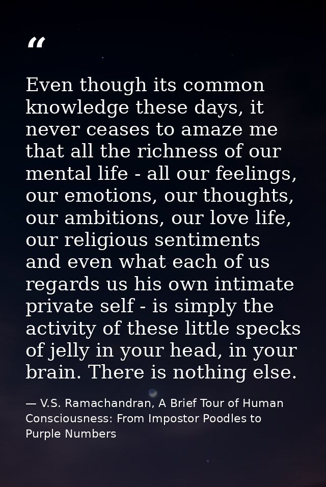 Even though its common knowledge these days, it never ceases to amaze me that all the richness of our mental life - all  — V.S. Ramachandran, A Brief Tour of Human Consciousness: From Impostor Poodles to Purple Numbers