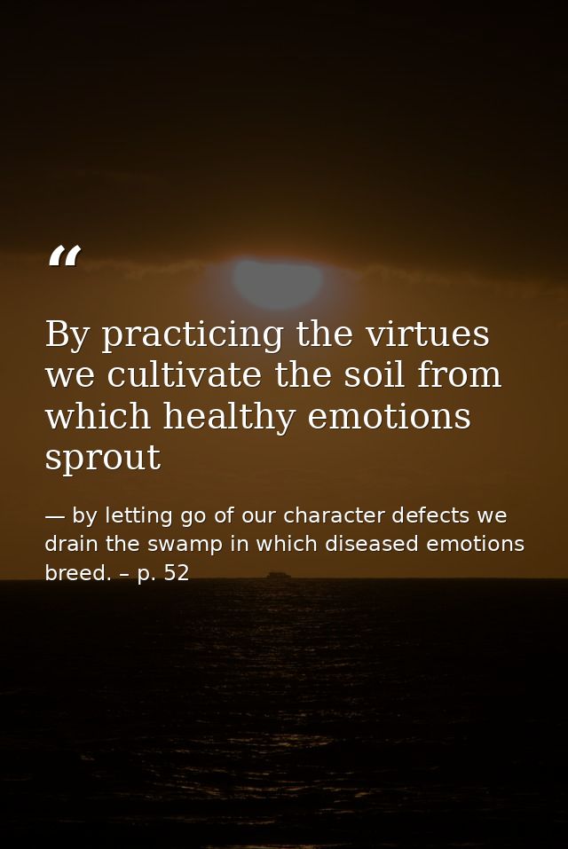 By practicing the virtues we cultivate the soil from which healthy emotions sprout — by letting go of our character defects we drain the swamp in which diseased emotions breed. – p. 52