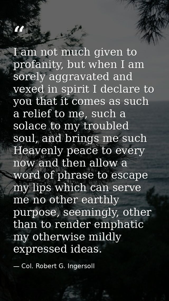 I am not much given to profanity, but when I am sorely aggravated and vexed in spirit I declare to you that it comes as  — Col. Robert G. Ingersoll