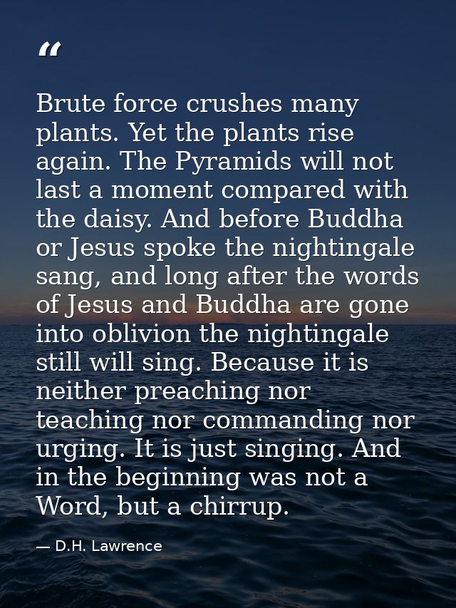 Brute force crushes many plants. Yet the plants rise again. The Pyramids will not last a moment compared with the daisy. — D.H. Lawrence