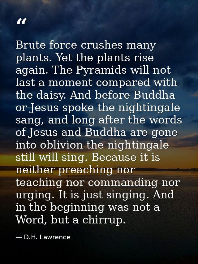 Brute force crushes many plants. Yet the plants rise again. The Pyramids will not last a moment compared with the daisy. — D.H. Lawrence