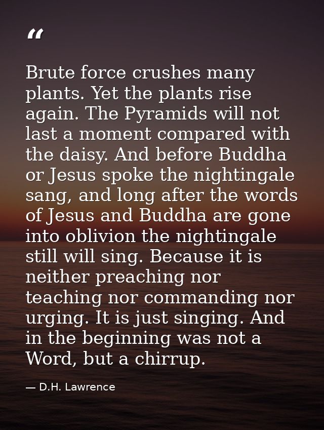 Brute force crushes many plants. Yet the plants rise again. The Pyramids will not last a moment compared with the daisy. — D.H. Lawrence