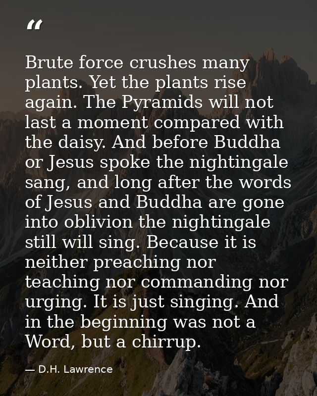 Brute force crushes many plants. Yet the plants rise again. The Pyramids will not last a moment compared with the daisy. — D.H. Lawrence