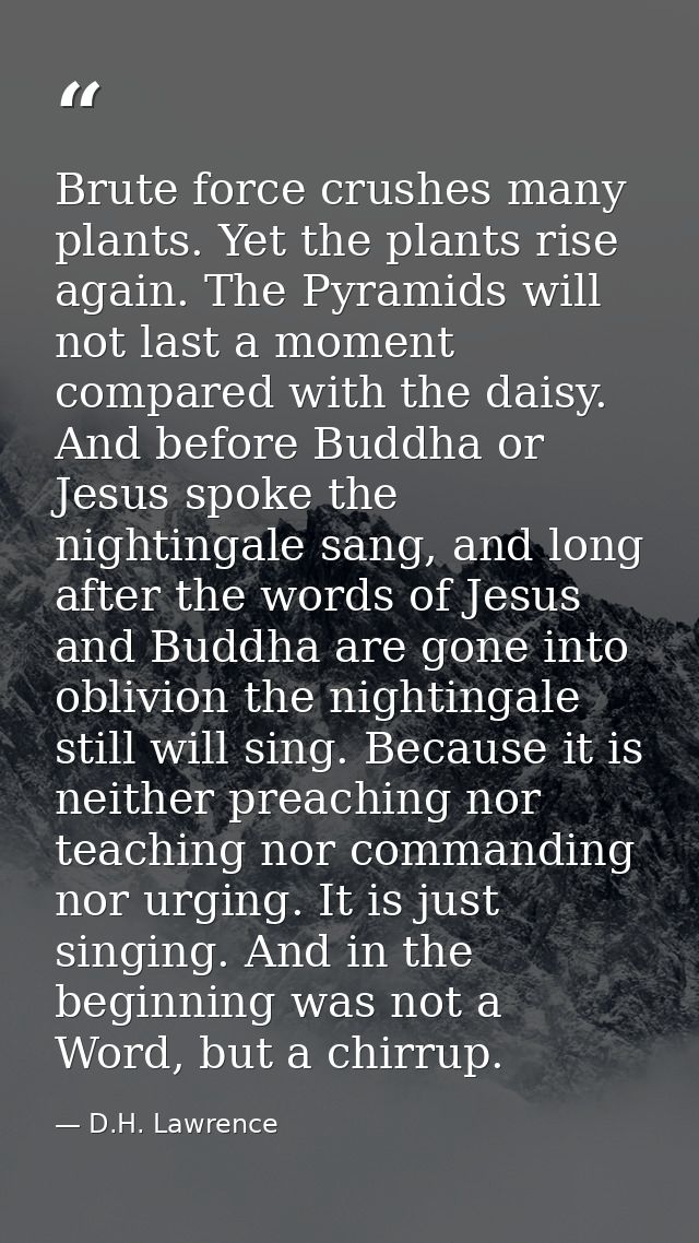 Brute force crushes many plants. Yet the plants rise again. The Pyramids will not last a moment compared with the daisy. — D.H. Lawrence