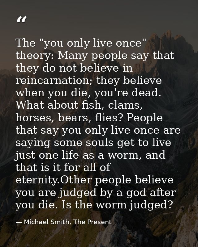 The "you only live once" theory: Many people say that they do not believe in reincarnation; they believe when you die, y — Michael Smith, The Present