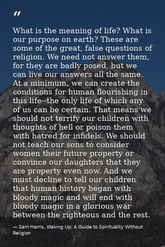 What is the meaning of life? What is our purpose on earth? These are some of the great, false questions of religion. We  — Sam Harris, Waking Up: A Guide to Spirituality Without Religion