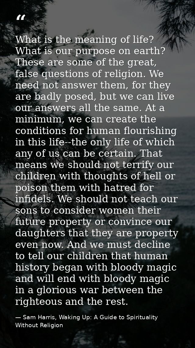 What is the meaning of life? What is our purpose on earth? These are some of the great, false questions of religion. We  — Sam Harris, Waking Up: A Guide to Spirituality Without Religion