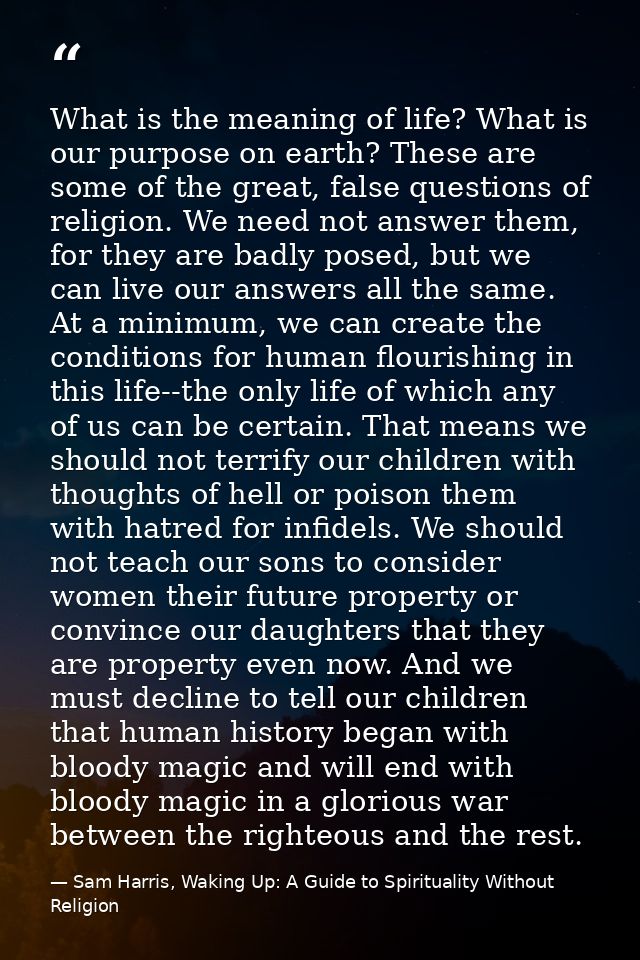 What is the meaning of life? What is our purpose on earth? These are some of the great, false questions of religion. We  — Sam Harris, Waking Up: A Guide to Spirituality Without Religion