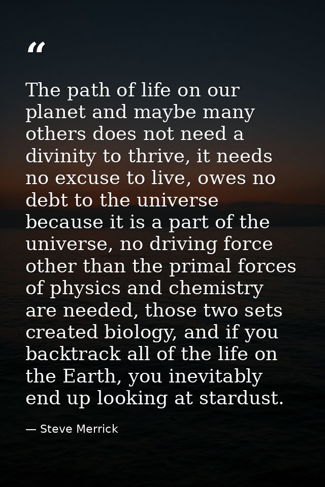 The path of life on our planet and maybe many others does not need a divinity to thrive, it needs no excuse to live, owe — Steve Merrick
