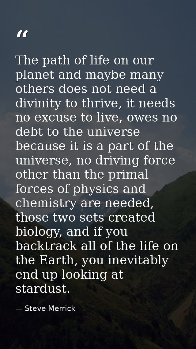 The path of life on our planet and maybe many others does not need a divinity to thrive, it needs no excuse to live, owe — Steve Merrick