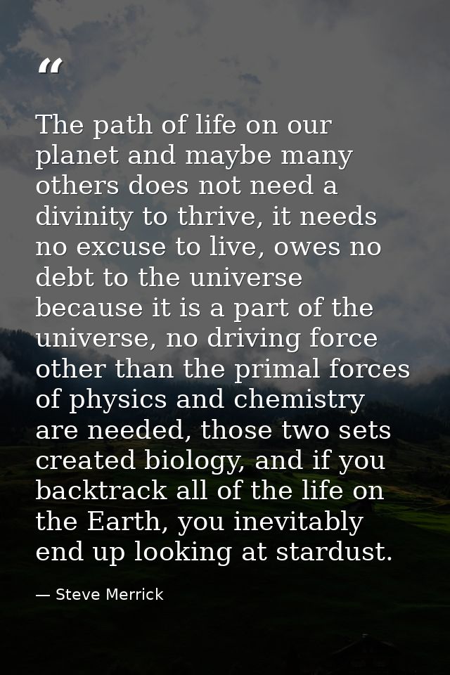 The path of life on our planet and maybe many others does not need a divinity to thrive, it needs no excuse to live, owe — Steve Merrick