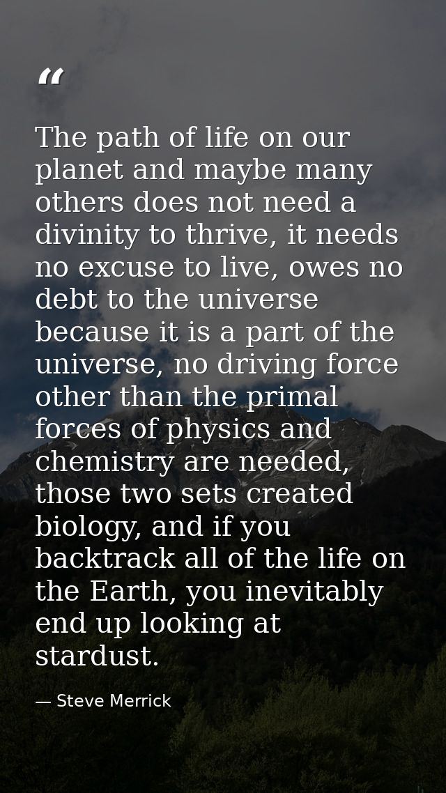 The path of life on our planet and maybe many others does not need a divinity to thrive, it needs no excuse to live, owe — Steve Merrick