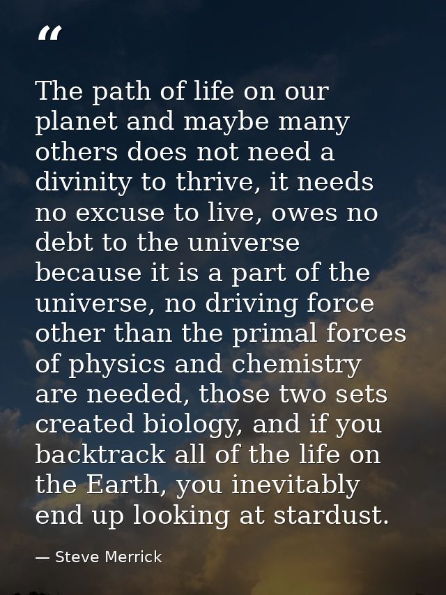 The path of life on our planet and maybe many others does not need a divinity to thrive, it needs no excuse to live, owe — Steve Merrick