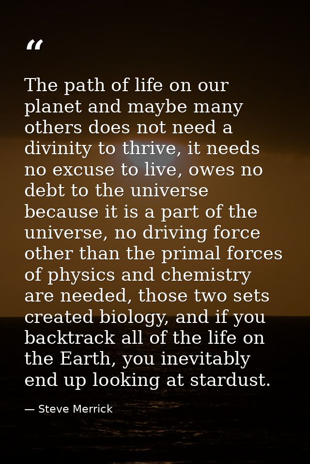 The path of life on our planet and maybe many others does not need a divinity to thrive, it needs no excuse to live, owe — Steve Merrick