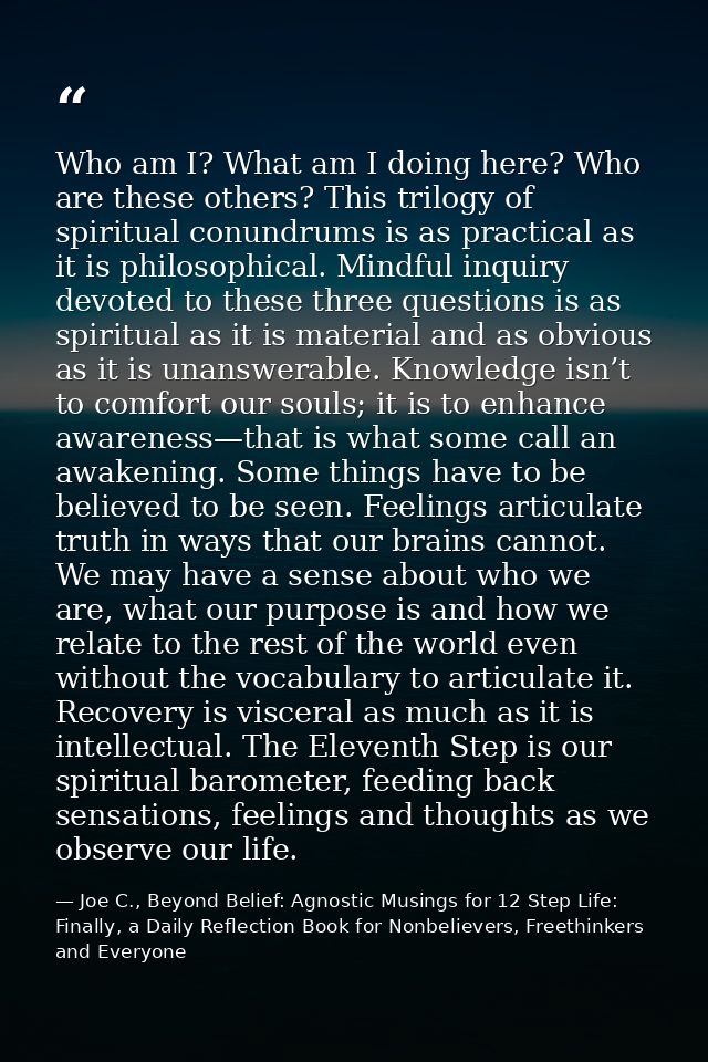 Who am I? What am I doing here? Who are these others? This trilogy of spiritual conundrums is as practical as it is phil — Joe C., Beyond Belief: Agnostic Musings for 12 Step Life: Finally, a Daily Reflection Book for Nonbelievers, Freethinkers and Everyone