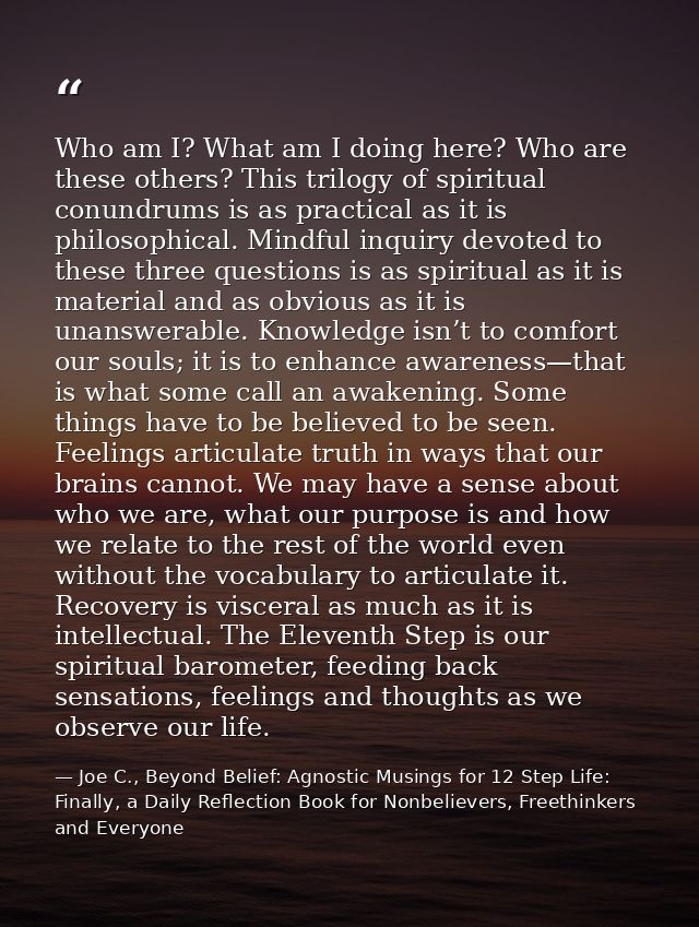 Who am I? What am I doing here? Who are these others? This trilogy of spiritual conundrums is as practical as it is phil — Joe C., Beyond Belief: Agnostic Musings for 12 Step Life: Finally, a Daily Reflection Book for Nonbelievers, Freethinkers and Everyone