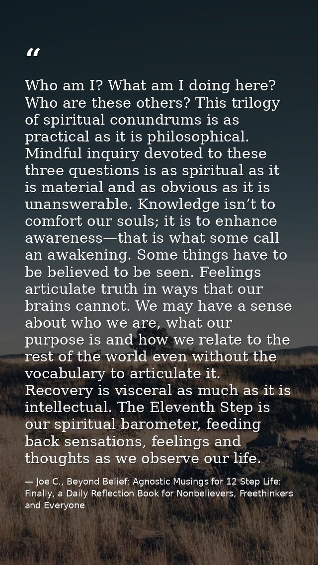 Who am I? What am I doing here? Who are these others? This trilogy of spiritual conundrums is as practical as it is phil — Joe C., Beyond Belief: Agnostic Musings for 12 Step Life: Finally, a Daily Reflection Book for Nonbelievers, Freethinkers and Everyone