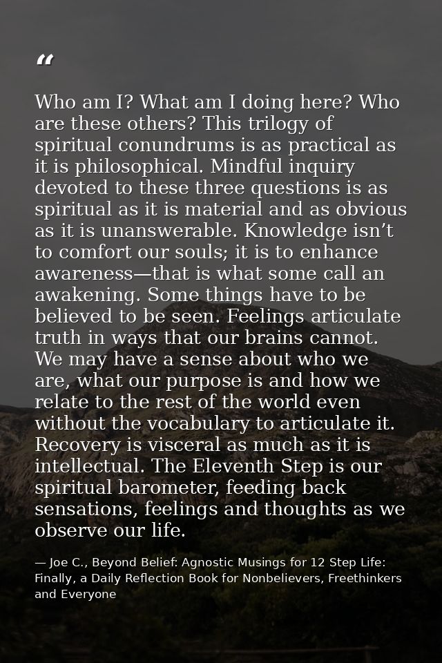 Who am I? What am I doing here? Who are these others? This trilogy of spiritual conundrums is as practical as it is phil — Joe C., Beyond Belief: Agnostic Musings for 12 Step Life: Finally, a Daily Reflection Book for Nonbelievers, Freethinkers and Everyone