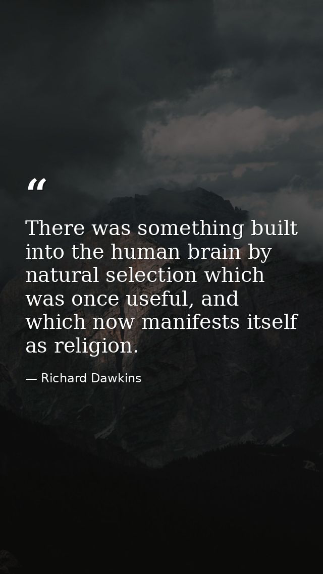 There was something built into the human brain by natural selection which was once useful, and which now manifests itsel — Richard Dawkins