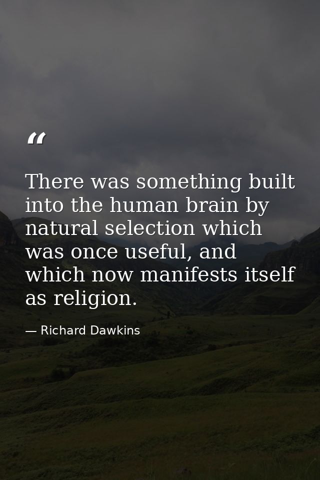 There was something built into the human brain by natural selection which was once useful, and which now manifests itsel — Richard Dawkins