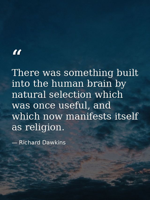 There was something built into the human brain by natural selection which was once useful, and which now manifests itsel — Richard Dawkins