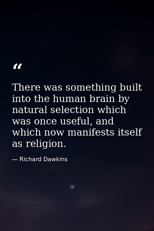 There was something built into the human brain by natural selection which was once useful, and which now manifests itsel — Richard Dawkins