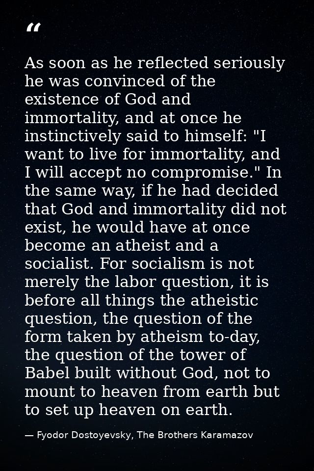 As soon as he reflected seriously he was convinced of the existence of God and immortality, and at once he instinctively — Fyodor Dostoyevsky, The Brothers Karamazov