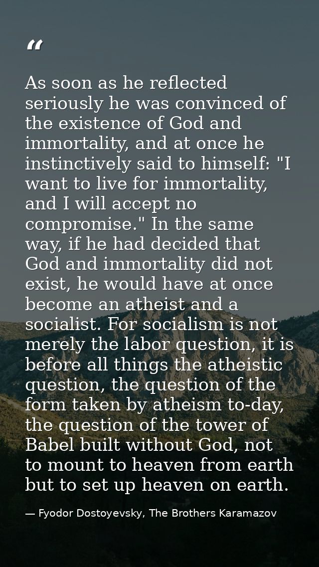 As soon as he reflected seriously he was convinced of the existence of God and immortality, and at once he instinctively — Fyodor Dostoyevsky, The Brothers Karamazov