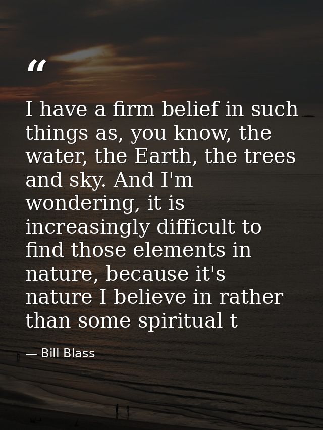 I have a firm belief in such things as, you know, the water, the Earth, the trees and sky. And I'm wondering, it is incr — Bill Blass