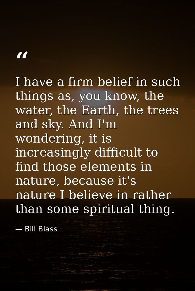 I have a firm belief in such things as, you know, the water, the Earth, the trees and sky. And I'm wondering, it is incr — Bill Blass