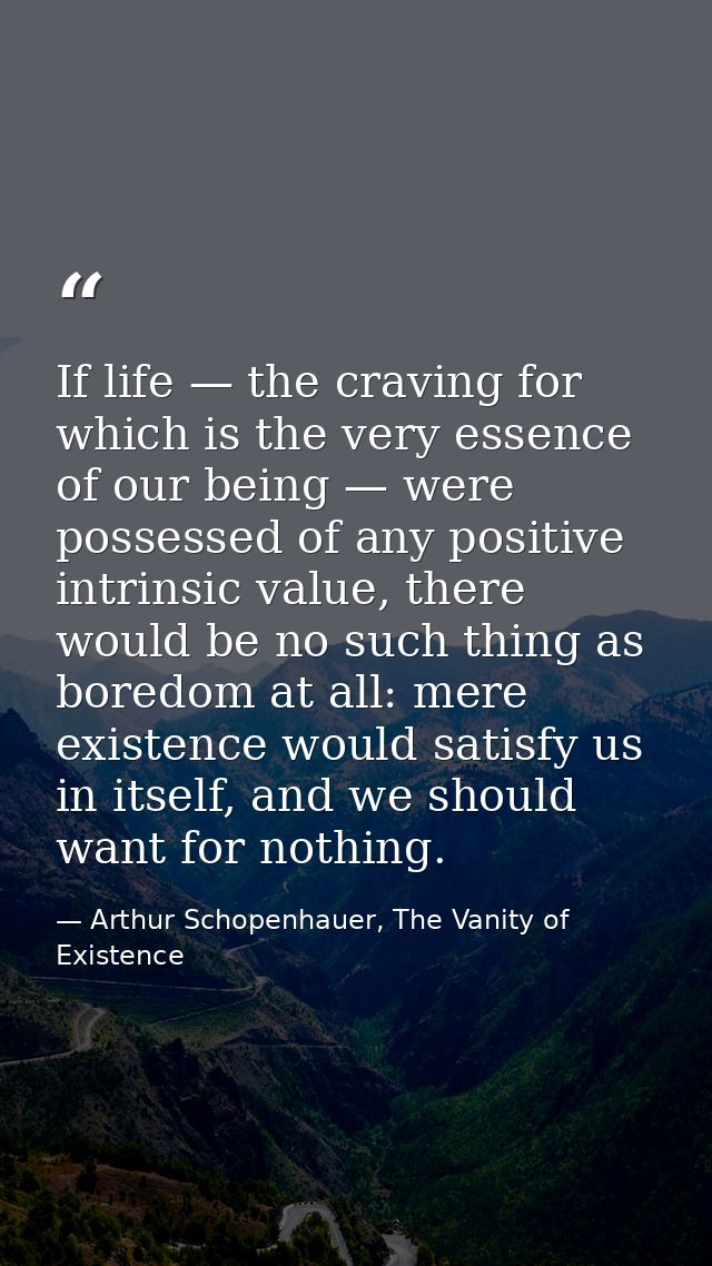If life — the craving for which is the very essence of our being — were possessed of any positive intrinsic value, there — Arthur Schopenhauer, The Vanity of Existence