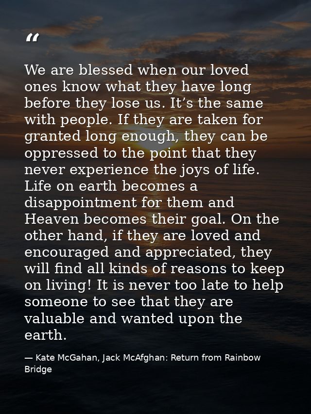 We are blessed when our loved ones know what they have long before they lose us. It’s the same with people. If they are  — Kate McGahan, Jack McAfghan: Return from Rainbow Bridge