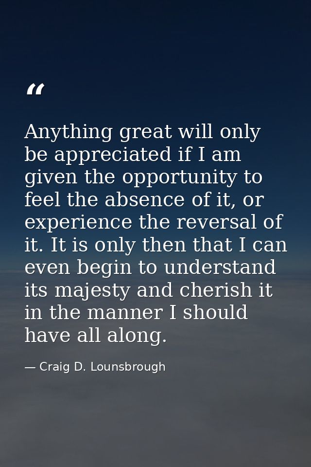 Anything great will only be appreciated if I am given the opportunity to feel the absence of it, or experience the rever — Craig D. Lounsbrough