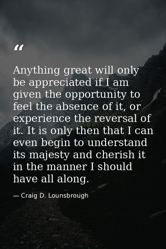 Anything great will only be appreciated if I am given the opportunity to feel the absence of it, or experience the rever — Craig D. Lounsbrough